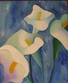 Calla Lilies with Blue Background